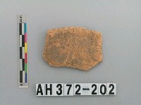 藏品(紅色夾砂陶片)的圖片